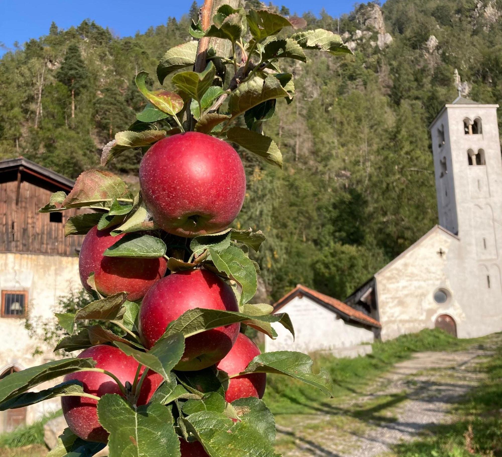 Ferienwohnungen Jojasa Latsch Exteriör bild